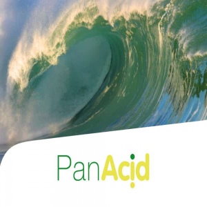 PAN ACID